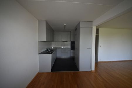 3.5 Zimmer, 80 m², 5. Stock - Photo 2