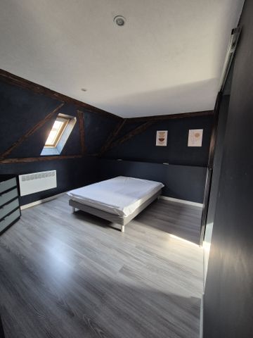 location Appartement 2 pièces à Ribeauville - REF 368-26 RISLENE SALOMON - Photo 2