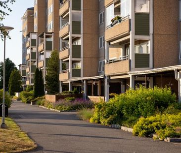 Fjällsyran 2 - Photo 1