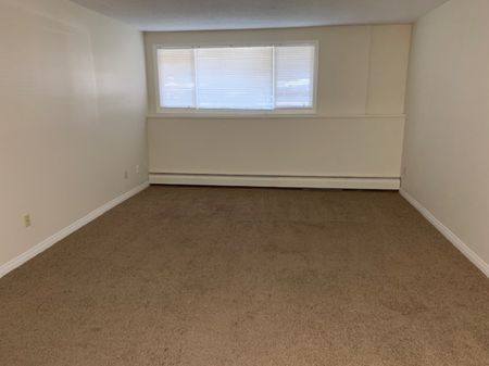 STUDIO ON THE 1ST FLOOR IN DOWNTOWN RED DEER! 2 Weeks Free Rent - Photo 2