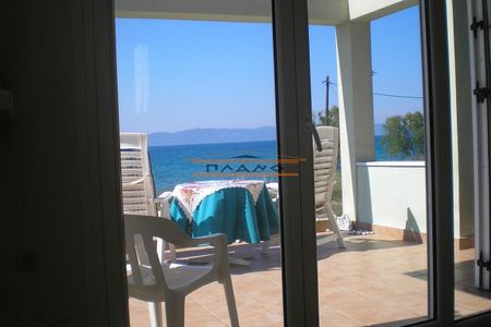 Μονοκατοικία για ενοικίαση Γούβες (Αρτεμίσιο) - Φωτογραφία 4