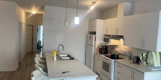183 Chemin McConnell (Aylmer) Chauffé Et éclaire - Appartement 2 Cc + Bureau - Photo 3