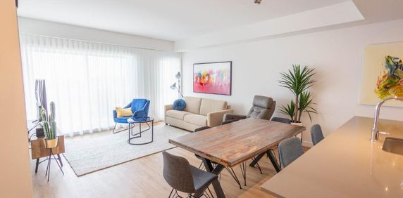 Grand condo 1 chambre Voisin de l'Université Laval Québec à louer - appartement / logement - Photo 2