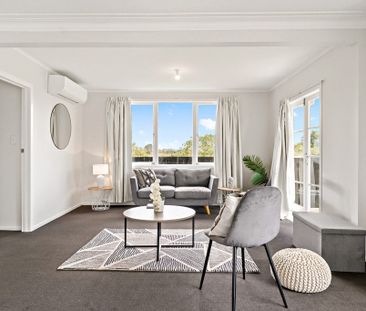 20B Frank Hewitt Street, Pukekohe, Auckland - Photo 5