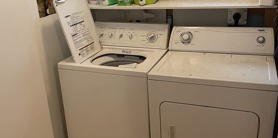 Logement 1 Chambre à Louer - Photo 3