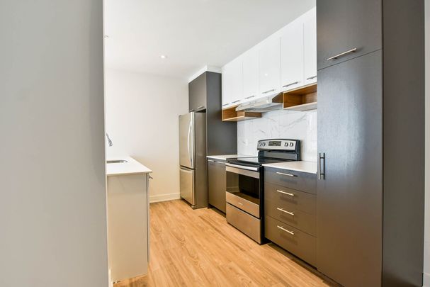 9675 Av. Papineau - Photo 1