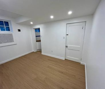 Renovated Studio Basement Suite with Unique Care Arrangement - Photo 2