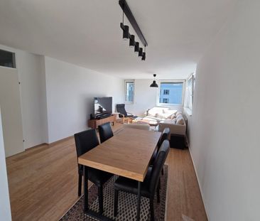 Furnished Apartment in Walking Distance to VIC - Photo 1