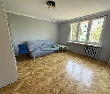 Nowy Sącz - Zdjęcie 2