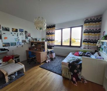 Südterrasse mit Garten!! 4-Zimmer-Maisonettewohnung in Adlershof!! - Foto 4