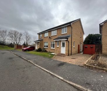 Derby Wynd, Carfin - Photo 4