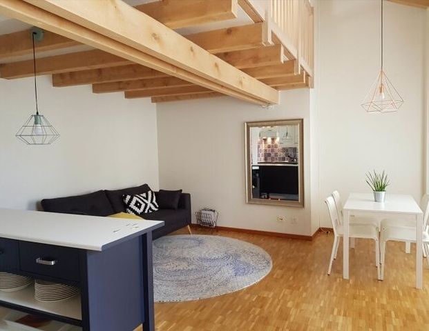 Superbe appartement avec mezzanine - Foto 1