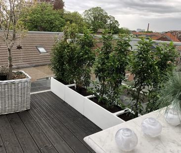 Penthouse te huur - Foto 4