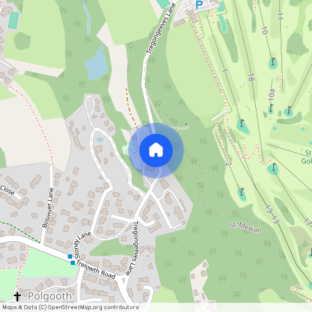 Tregongeeves Lane, St. Austell