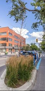 2 1/2 - Montréal (Le Plateau Mont-Royal) - 1 635 $/mois - Photo 3