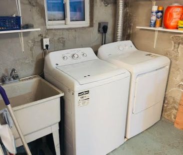 For Lease - 165 Torrens Avenue Unit# Basement, Toronto, Ontario - Photo 2