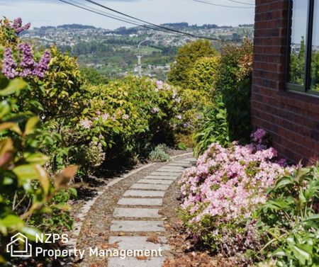 13 Campbells Road, Pinehill - Photo 4