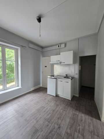 Location Appartement 1 pièce 30m² NANCY 54000 - Photo 3
