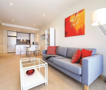 341/1 Mouat Street, Lyneham ACT 2602 - Apartment For Rent | Domain - Photo 5