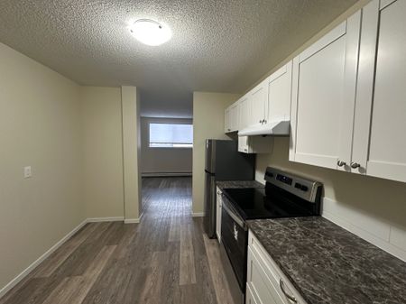 Charming 1 Bed 1 Bath Apartment in heart of DOWNTOWN Red Deer - Photo 2