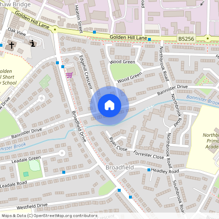 Bannister Drive, Leyland