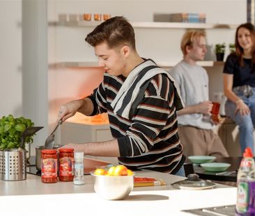 Sint-Amandsplein 3 / 4, kamer A01.08 - Photo 4