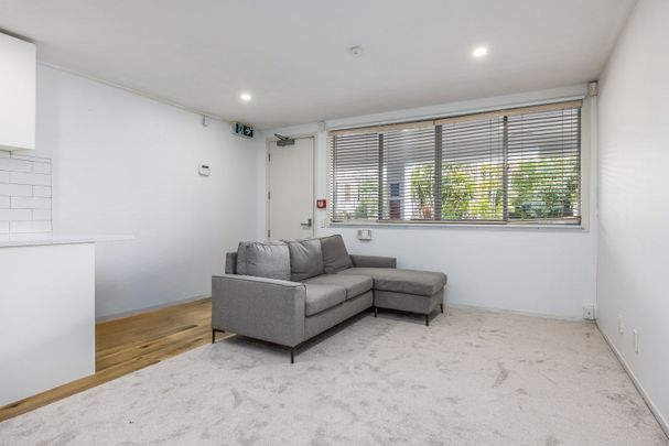 Furnished Studio in Prime Grey Lynn - Photo 1