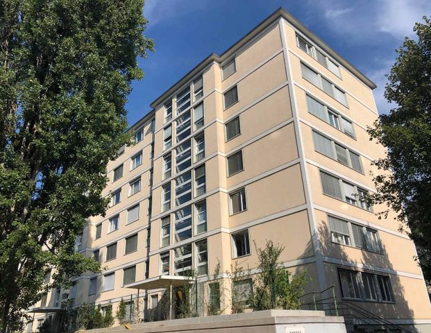 3 Zimmer, 75 m², EG - Foto 1