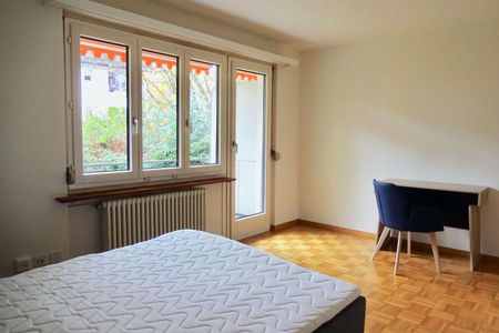 Mickey #3 - Experience 60's Charm in Zürich's Green Oasis - Photo 2