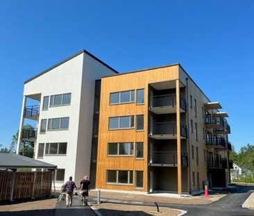 Salamandergatan, Färjestaden - Foto 2