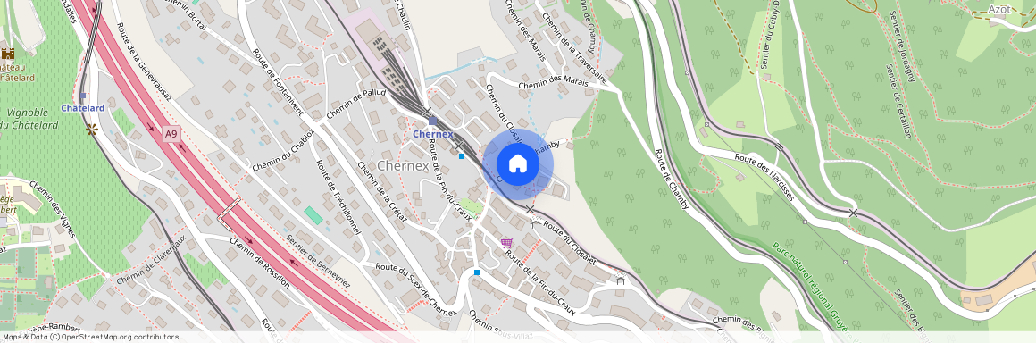 Chemin de Chamby 10, 1822 Chernex