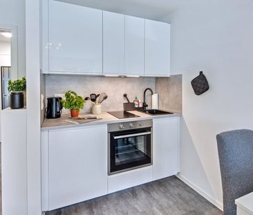 Modern furnished city-apartment with balcony for rent - Foto 4