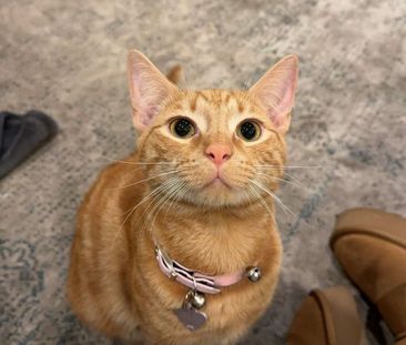 North Plympton - Photo 3