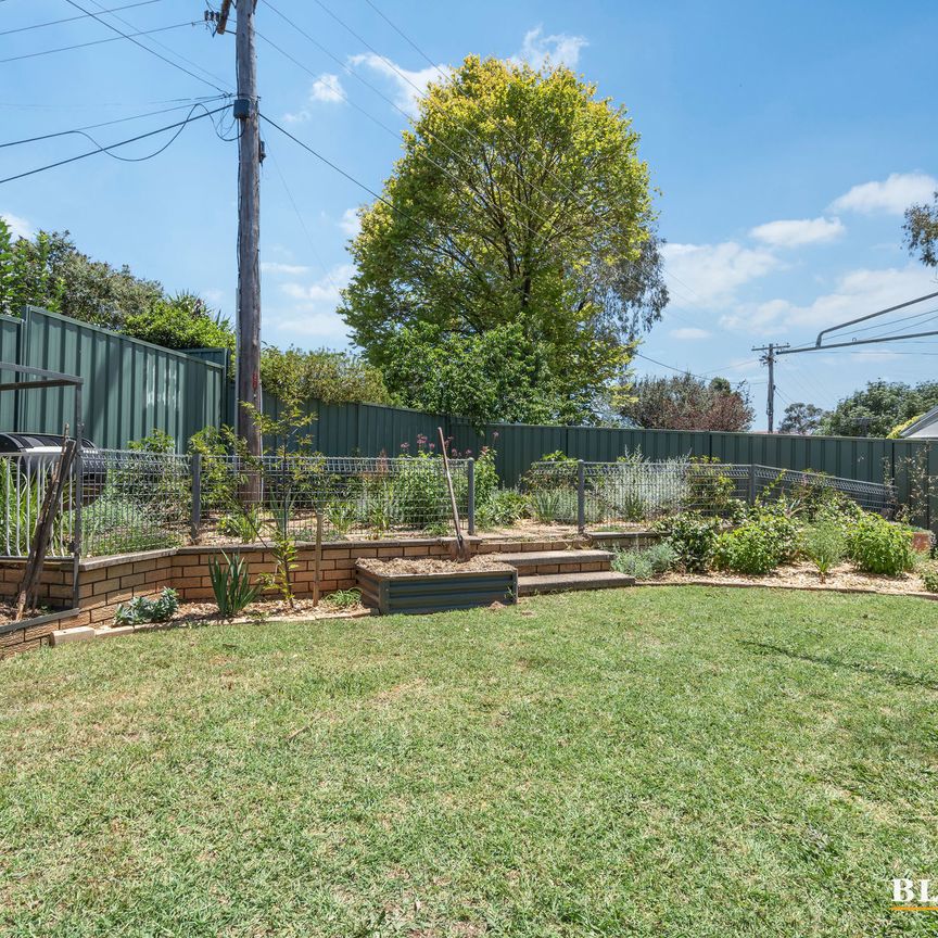 308 Southern Cross Drive, Macgregor ACT 2615 - House For Rent | Domain - Photo 1