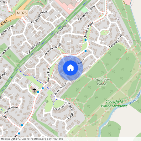 Birch Covert, Thetford IP24