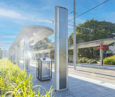 2 beds 2 baths 2 cars, Villa Style Apartment with Outdoor Courtyard - Photo 4