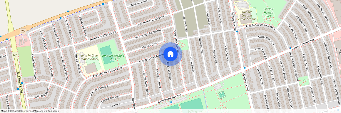 41 Begonia Street st&Bsm, Markham