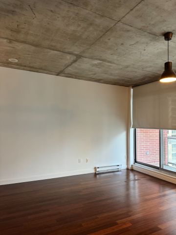 For Lease - 179 GEORGE Street Unit# 1004, Lower Town - Sandy Hill, Ontario - Photo 3