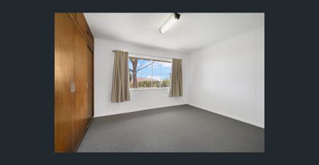 Big Home, Big Block, Prime Convenience - A Rare Find! - Photo 3