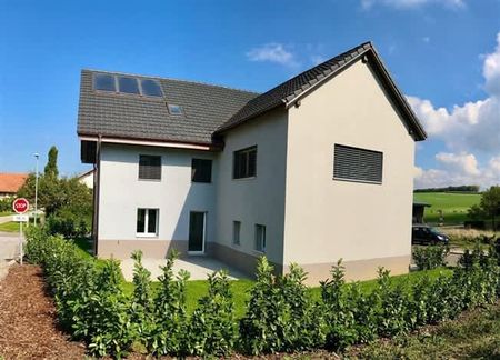 3.5 Zimmer, EG - Foto 4