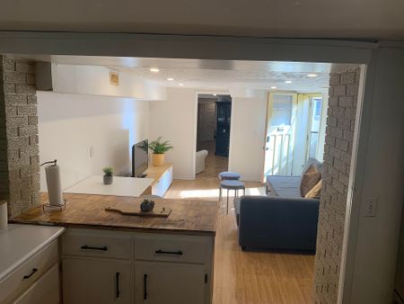 For Lease - 38 Rolyat Street Unit# Bsmt, Toronto, Ontario - Photo 5