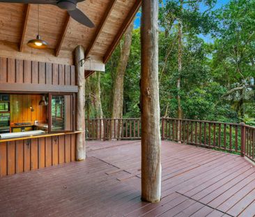 LIVE IN THE RAINFOREST!!!! - Photo 2