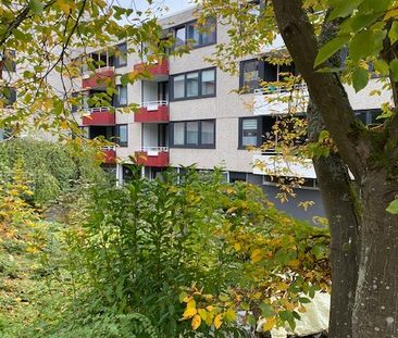 3-Zimmer-Wohnung mit Balkon in Siegen-Achenbach mieten - Photo 6