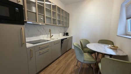 BABEȘ PREMIUM RESIDENCE: Luxury Apartment for Rent in Cluj-Napoca, 5 minutes from the University of Medicine and Pharmacy, living room, bedroom, kitchen and bathroom - Photo 5