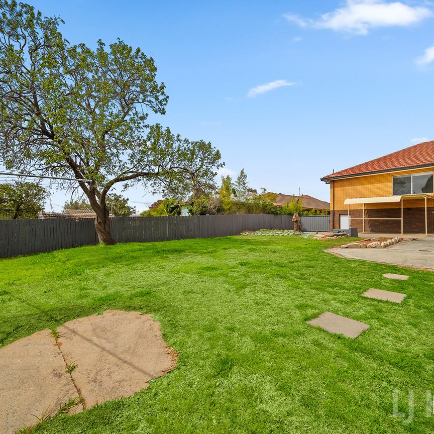 3 Hazelwood Street, Queanbeyan NSW 2620 - House For Rent | Domain - Photo 1
