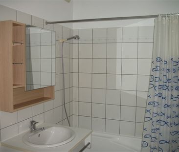 Appartement - 1 pièce - Jardin Lecoq/Facultés - Photo 4