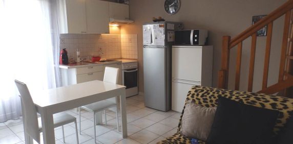 Location Appartement 2 pièces 39m² SEYSSINS 38180 - Photo 2