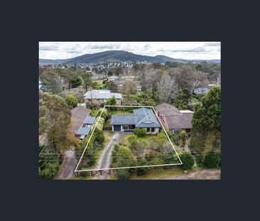 The Perfect Balance - Photo 1