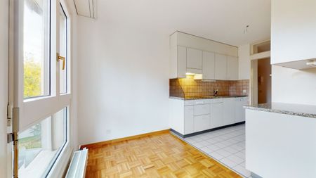 Vue sur le lac - Photo 5