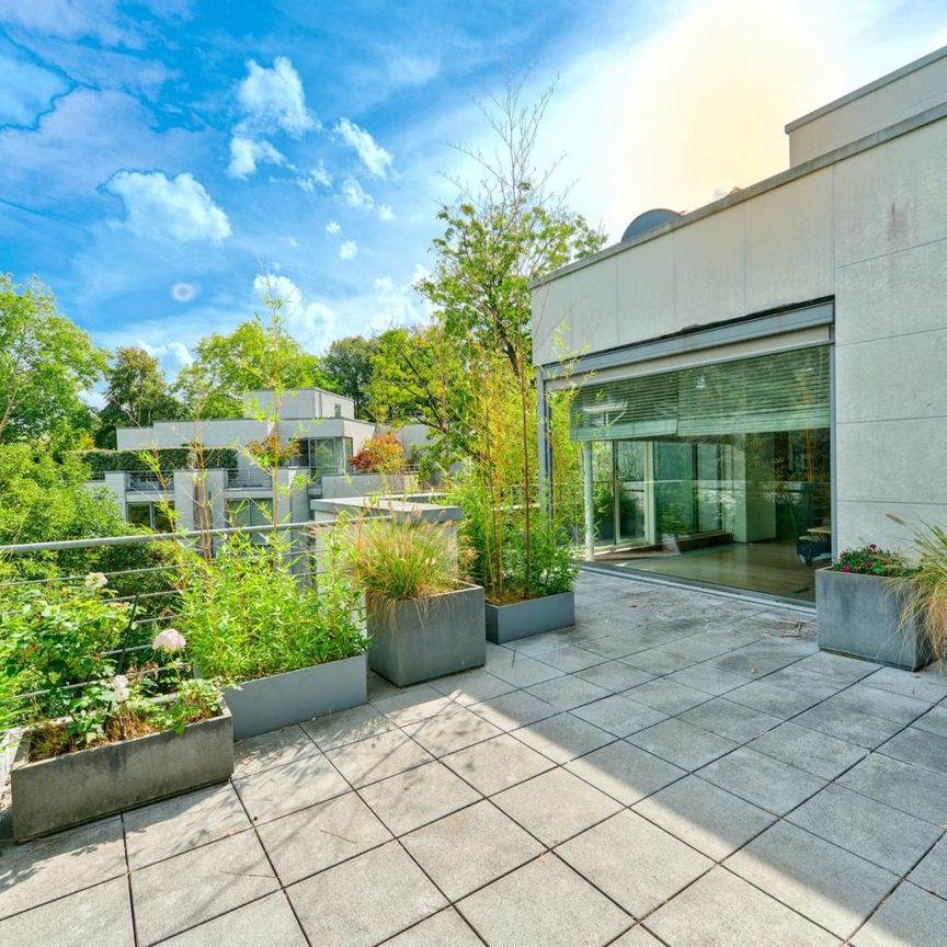 Quartier Observatoire : Somptueux appartement de 265 m² + 150 m² de terrasse - Photo 1